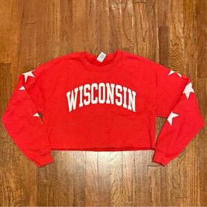Wisconsin Cropped Sweatshirt, Size medium